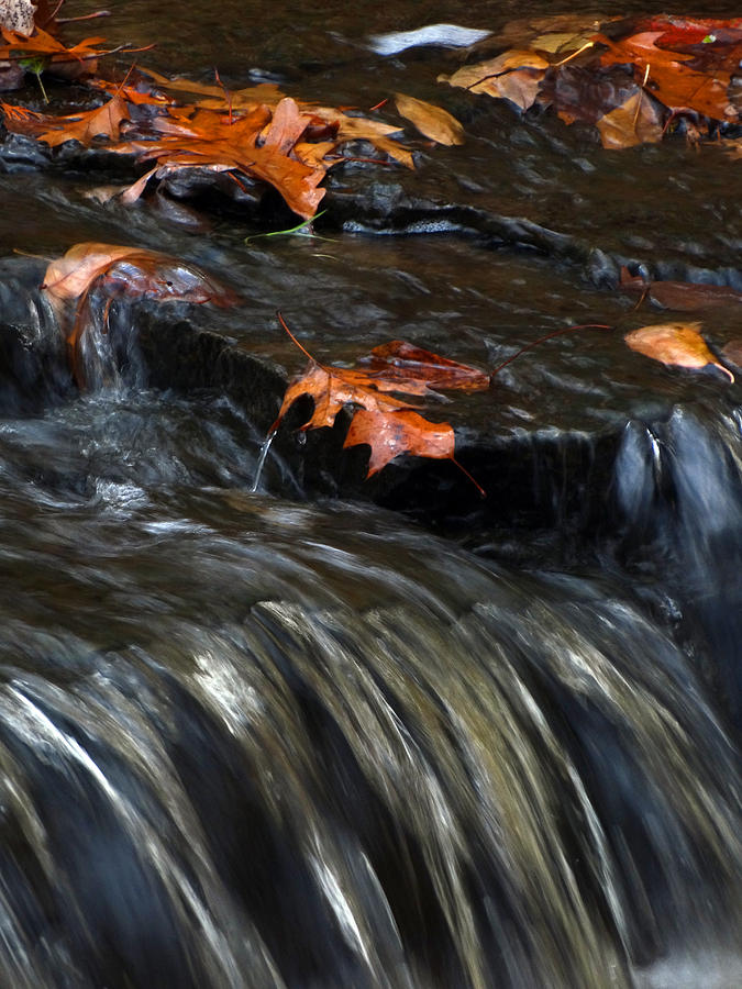 Flowing Creek Photograph by David T Wilkinson