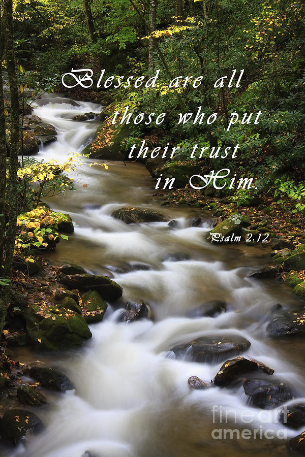 Flowing Creek with Scripture Photograph by Jill Lang