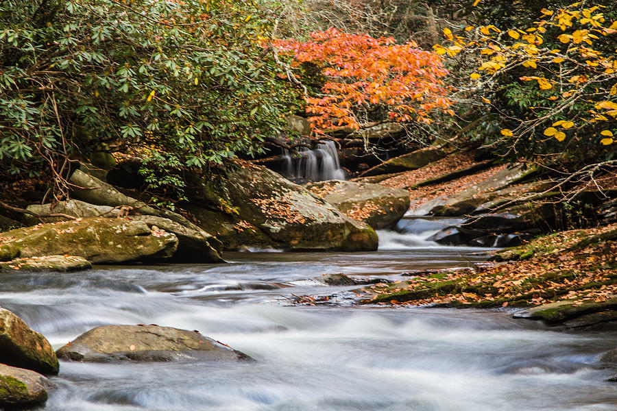 Fall Photograph - Flowing Fall Waters by John Haldane