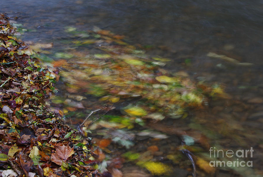 Fall Photograph - Flowing Leaves by Jonathan Welch