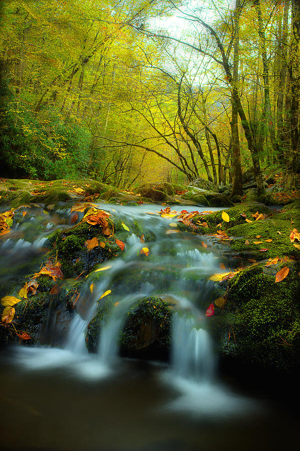 Flowing October Photograph by Michael Eingle