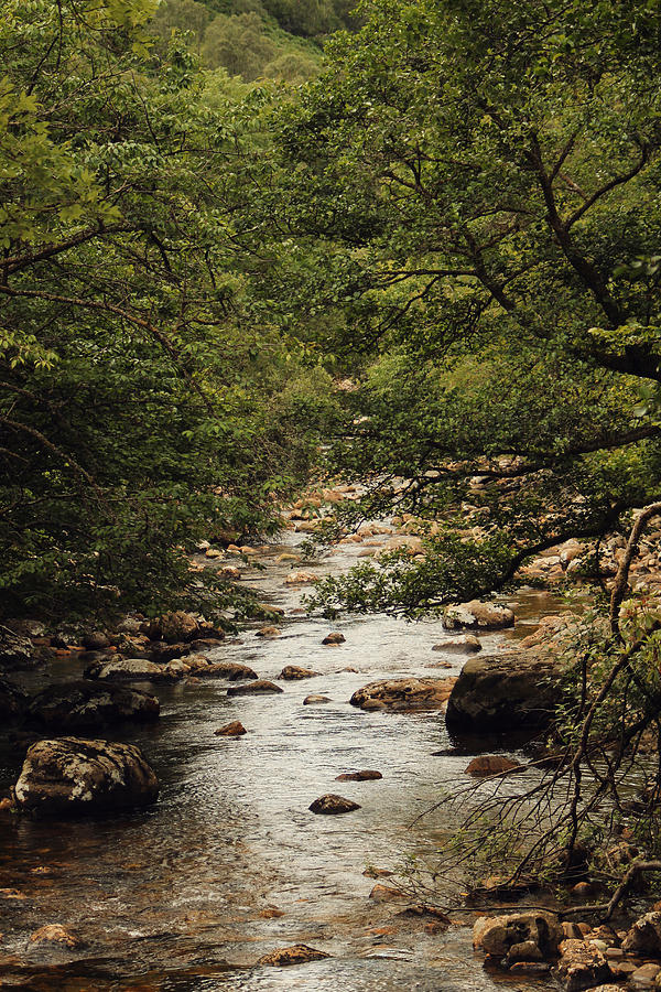 Flowing Prose Photograph by Anthony Bean Flowing Prose Photograph by Anthony Bean