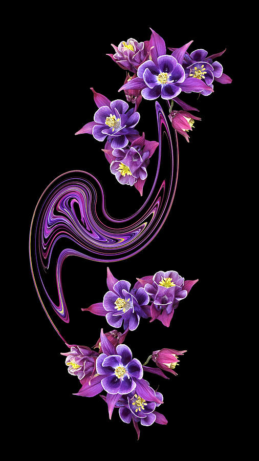 Flowing Purple Velvet Photograph by Gill Billington