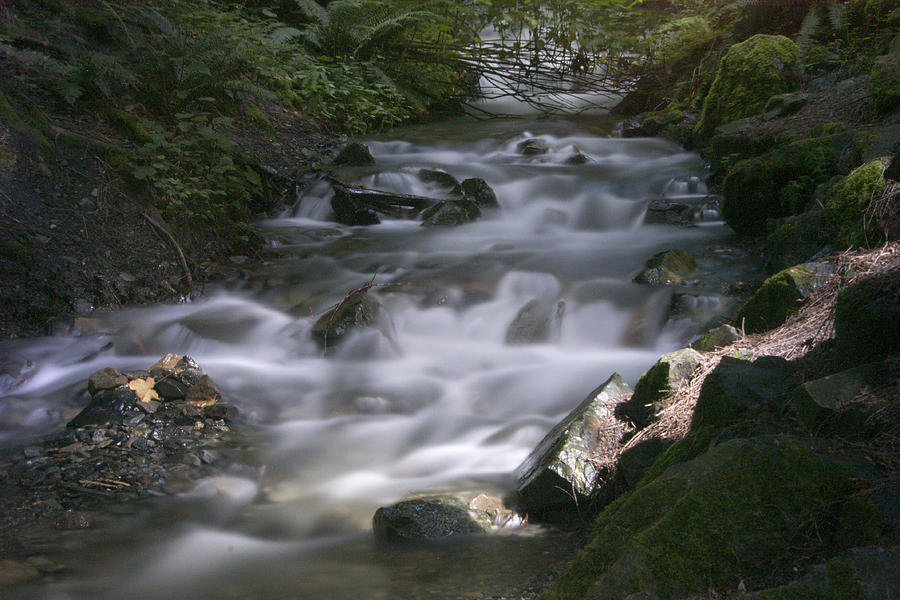 Flowing River Photograph