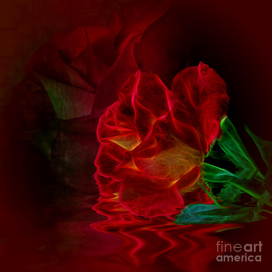 Flowing Rose Photograph by Shirley Mangini