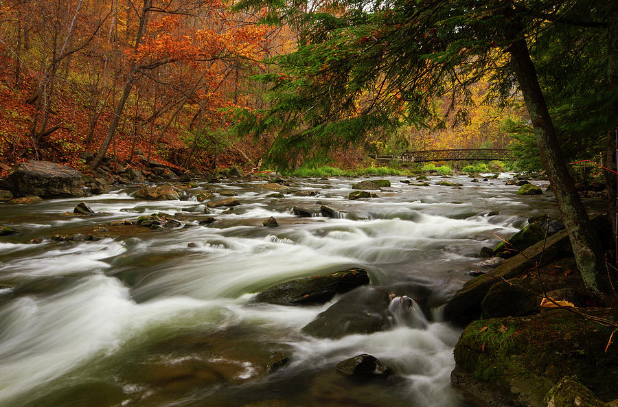 Flowing Stream And Footbridge In Autumn Photograph by Matt Champlin