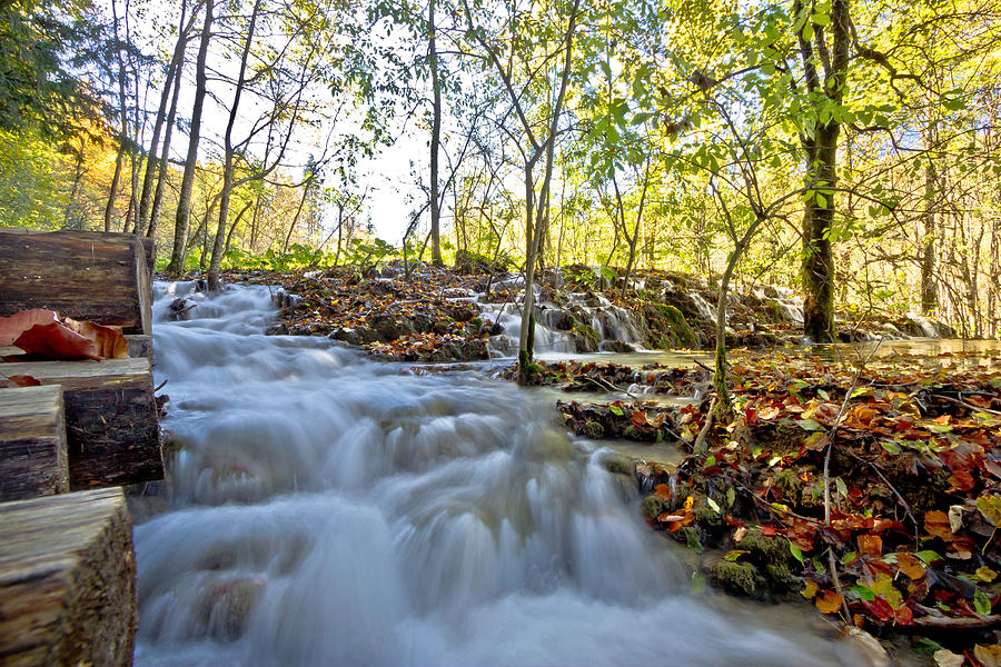 Flowing stream in Plitvice lakes national park Photograph by Brch Photography