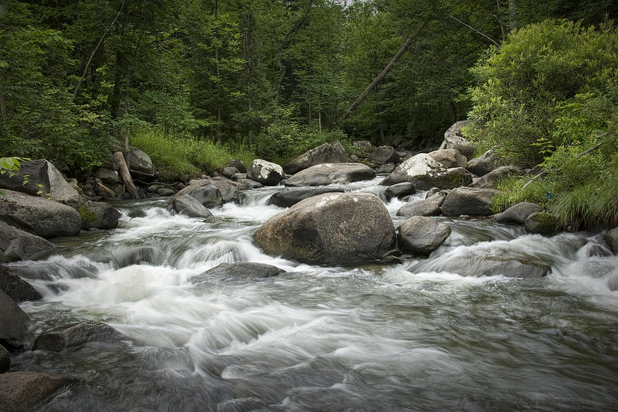 Flowing Stream in Vermont Photograph by Randall Nyhof