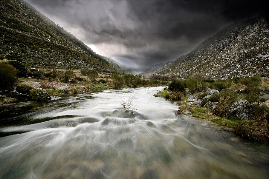 Flowing stream Photograph by Jorge Maia