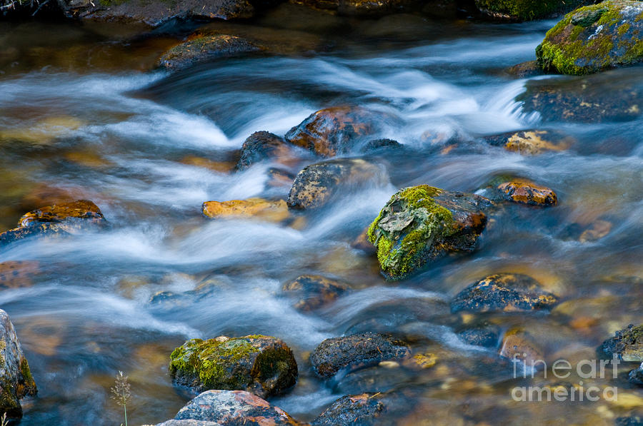 Flowing Stream Photograph by William H. Mullins
