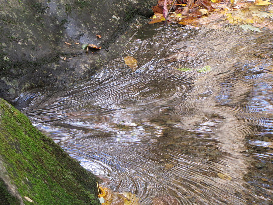 Flowing stream with ripples Photograph by Toni and Rene Maggio