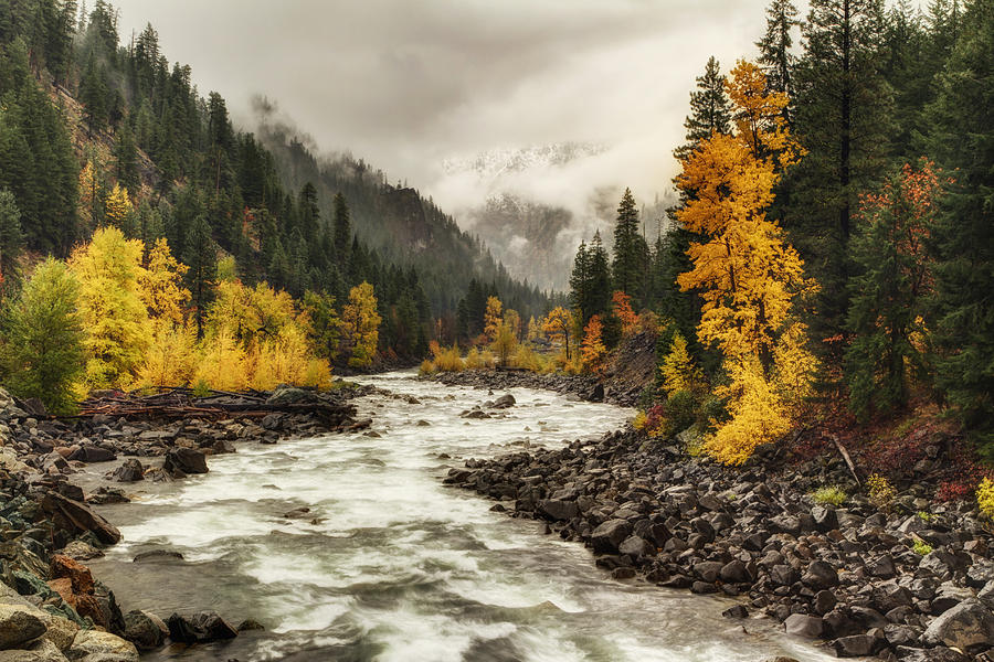 Flowing through Autumn Photograph by Mark Kiver