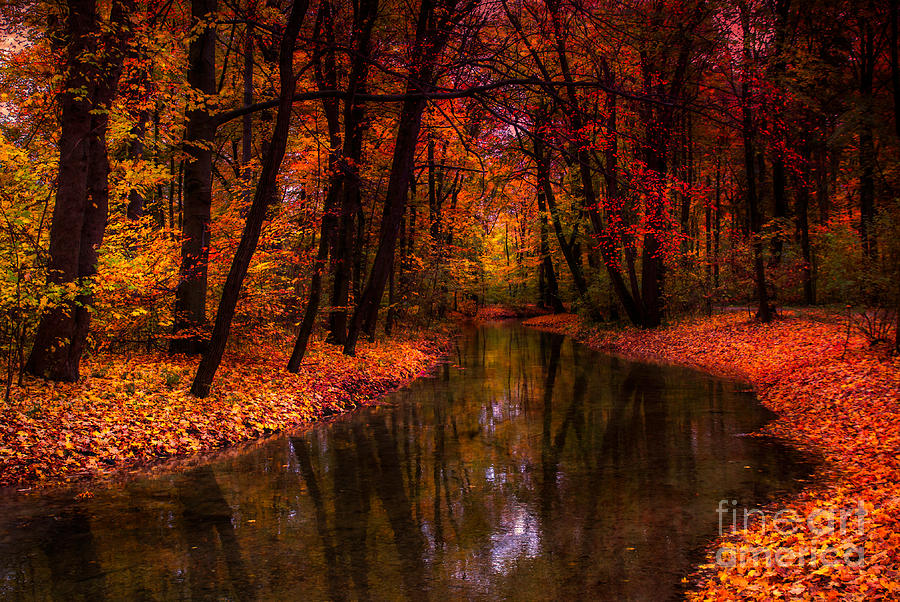 Flowing Through The Colors Of Fall Photograph by Hannes Cmarits