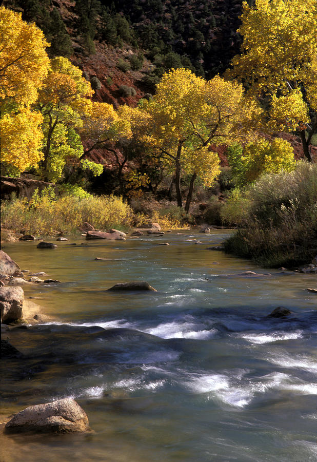 Zion National Park Photograph - Flowing Through Zion National Park by Dave Mills