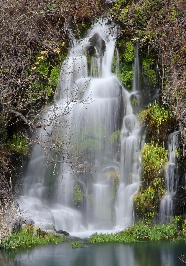 Silky Waterfall Photograph by Athena Mckinzie