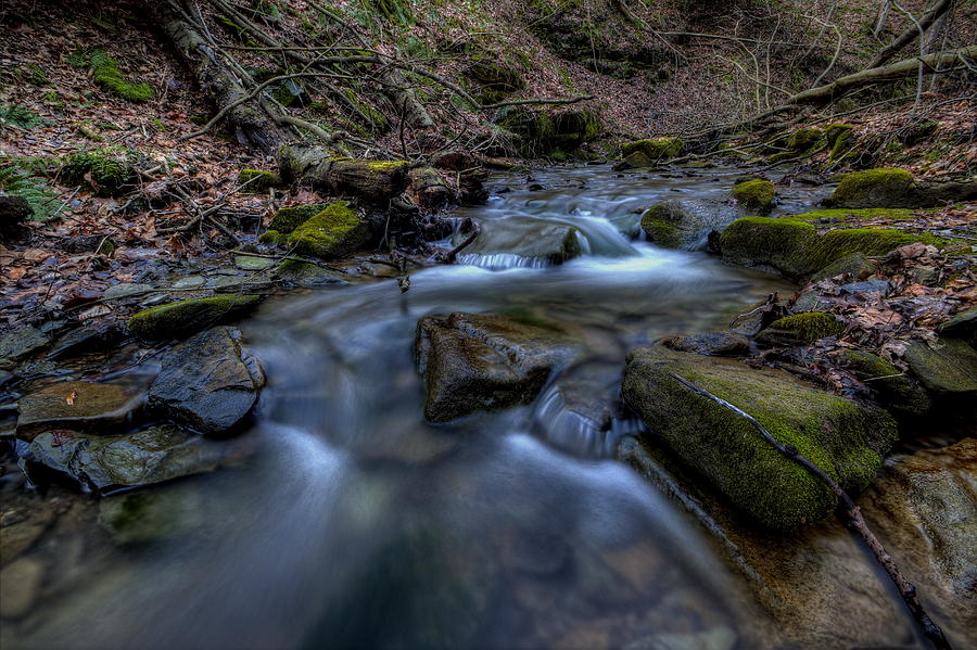 Flowing Waters Photograph by David Dufresne