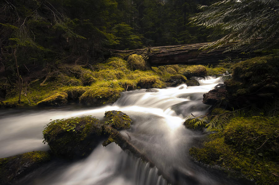 Olympic National Park Photograph - Flowing Waters - Olympic National Park by Kevin Pate