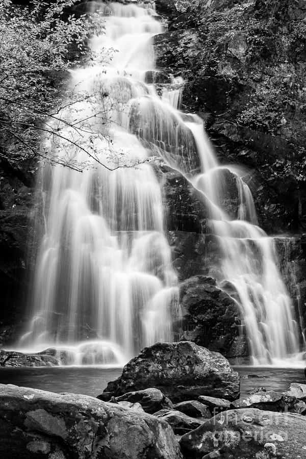 Flowing White Waterfall Photograph by Terri Morris
