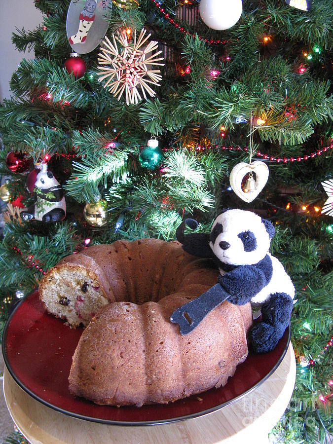 Christmas Photograph - Floyd celebrates the New Year with almond bundt cake by Ausra Huntington nee Paulauskaite