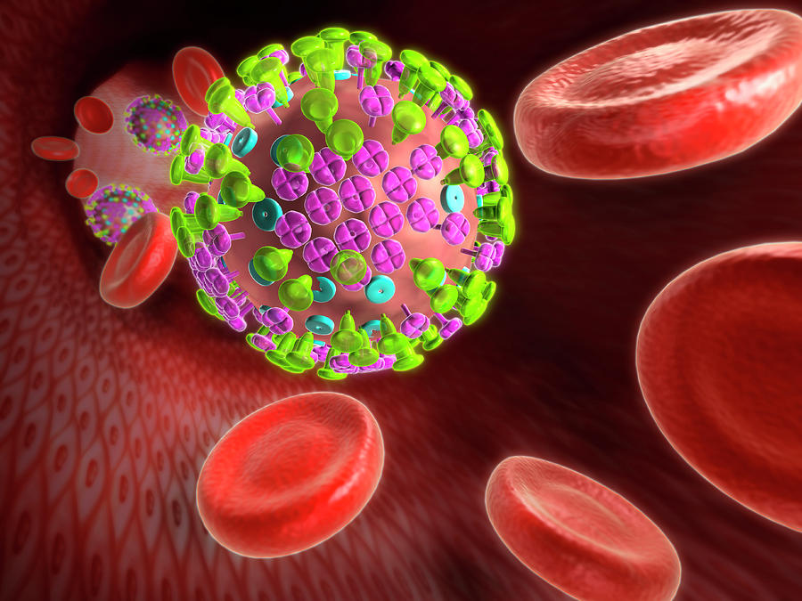 3-dimensional Photograph - Flu Virus In The Bloodstream by Harvinder Singh