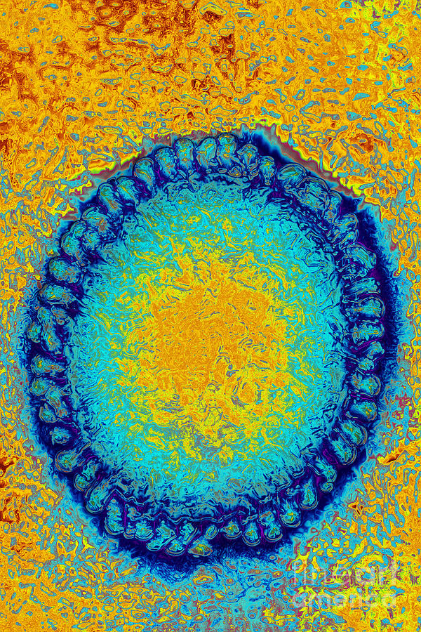 Flu Virus Photograph - Flu Virus by James Cavallini