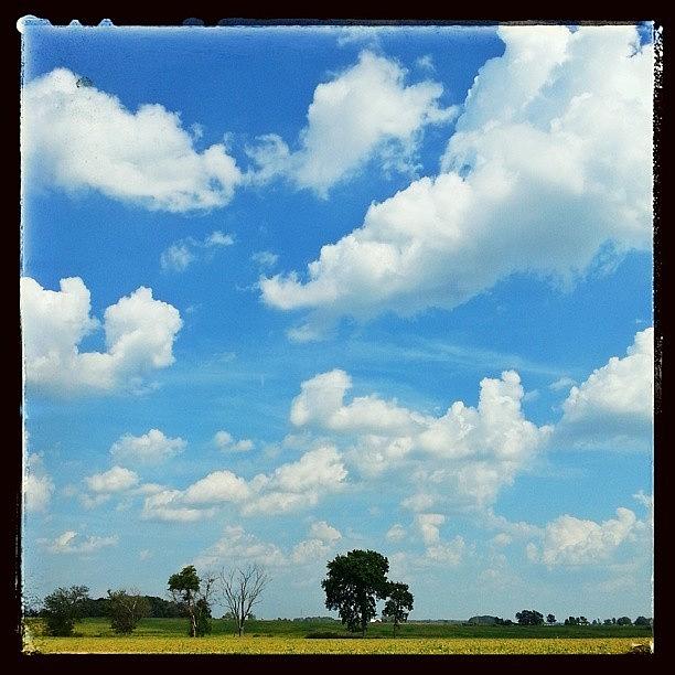 Fluffy Clouds And Soybeans #farmlife Photograph by Sandy MacGowan