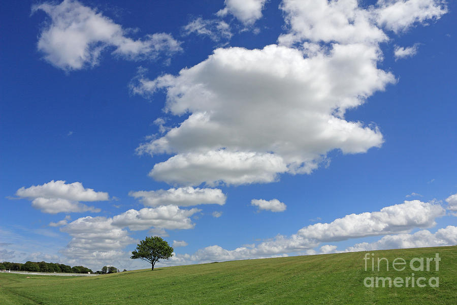Fluffy clouds over Epsom Downs Surrey Photograph by Julia Gavin