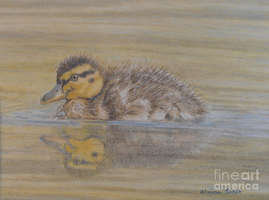 Duck Painting - Fluffy Duckling by Elaine Jones