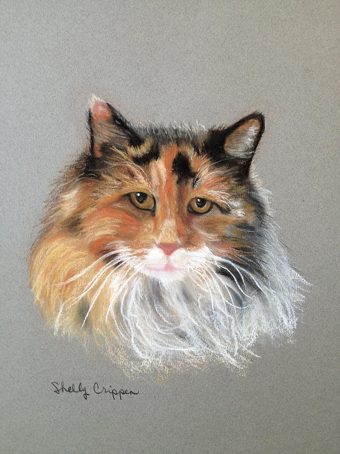 https://images.fineartamerica.com/images-medium-large-5/fluffy-shelly-crippen.jpg