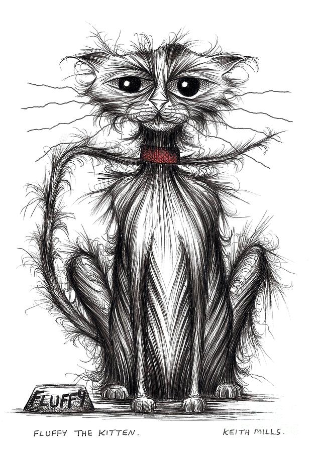 Fluffy the kitten Drawing by Keith Mills