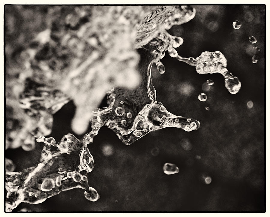 Fluid Structures Photograph by Lenny Carter