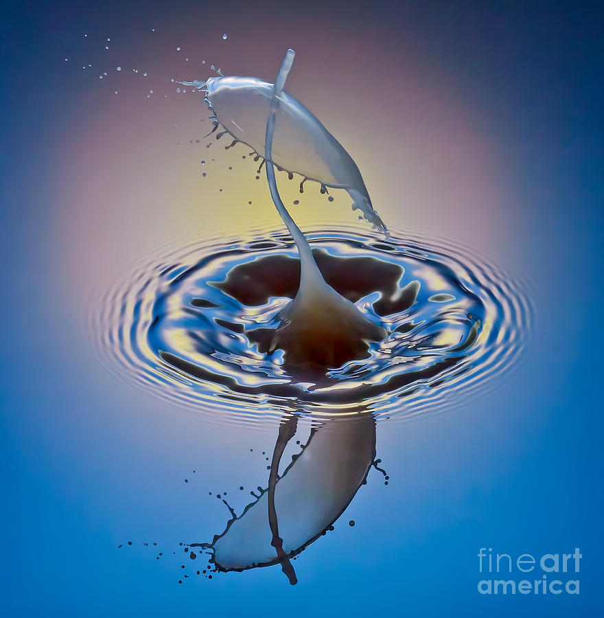 Abstract Photograph - Fluid Umbrella by Susan Candelario