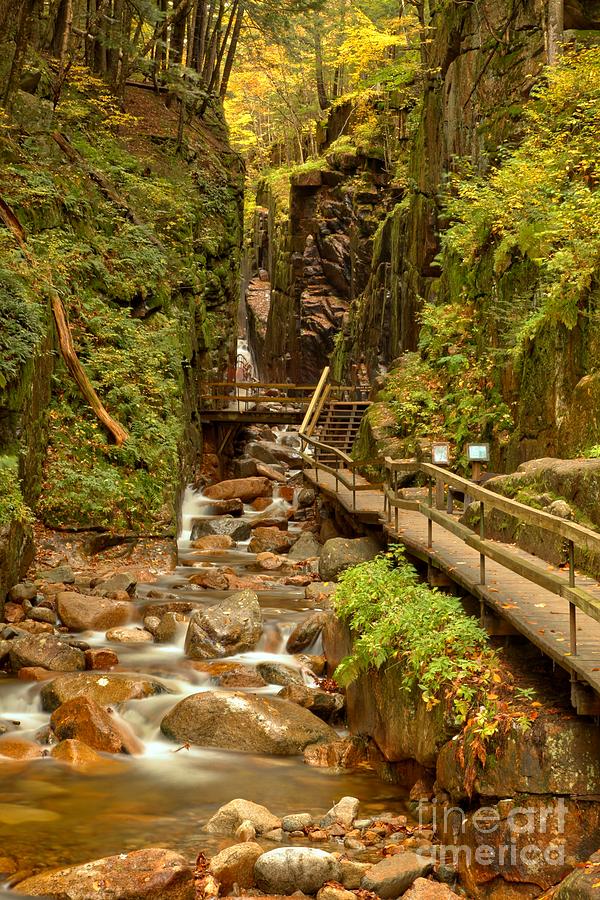 Flume Gorge At Franconia Notch Photograph by Adam Jewell