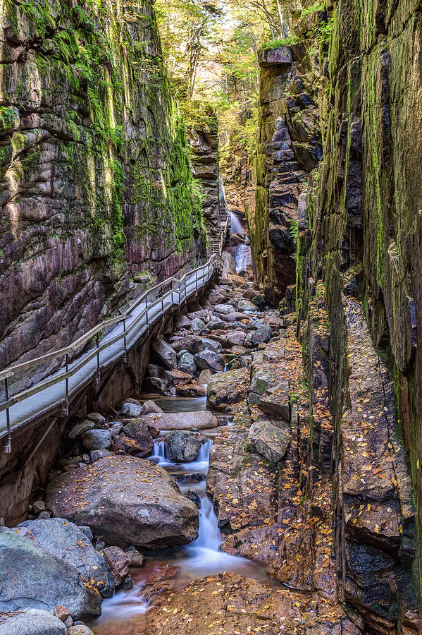 Flume Gorge in Franconia Notch NH Photograph by Pierre Leclerc Photography