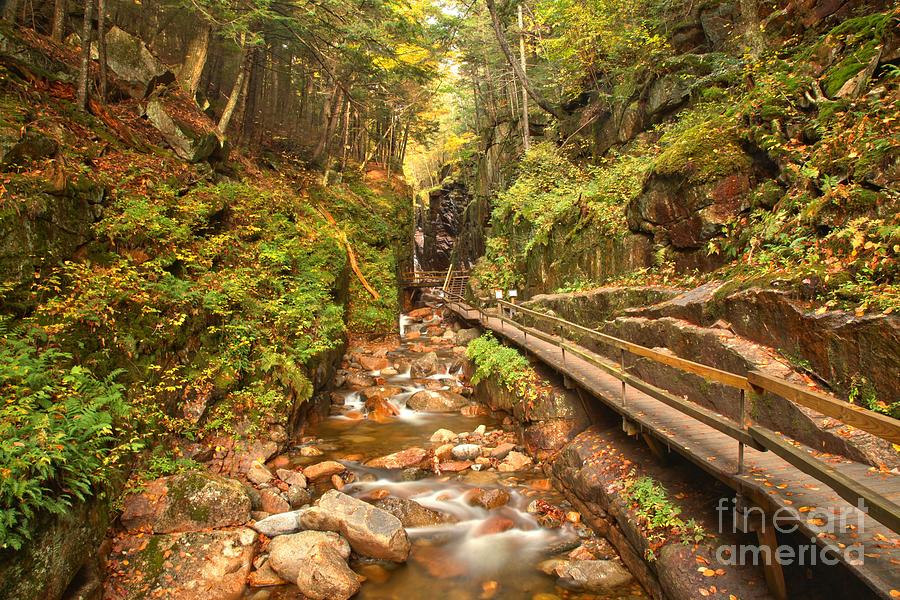Flume Gorge Landscape Photograph by Adam Jewell