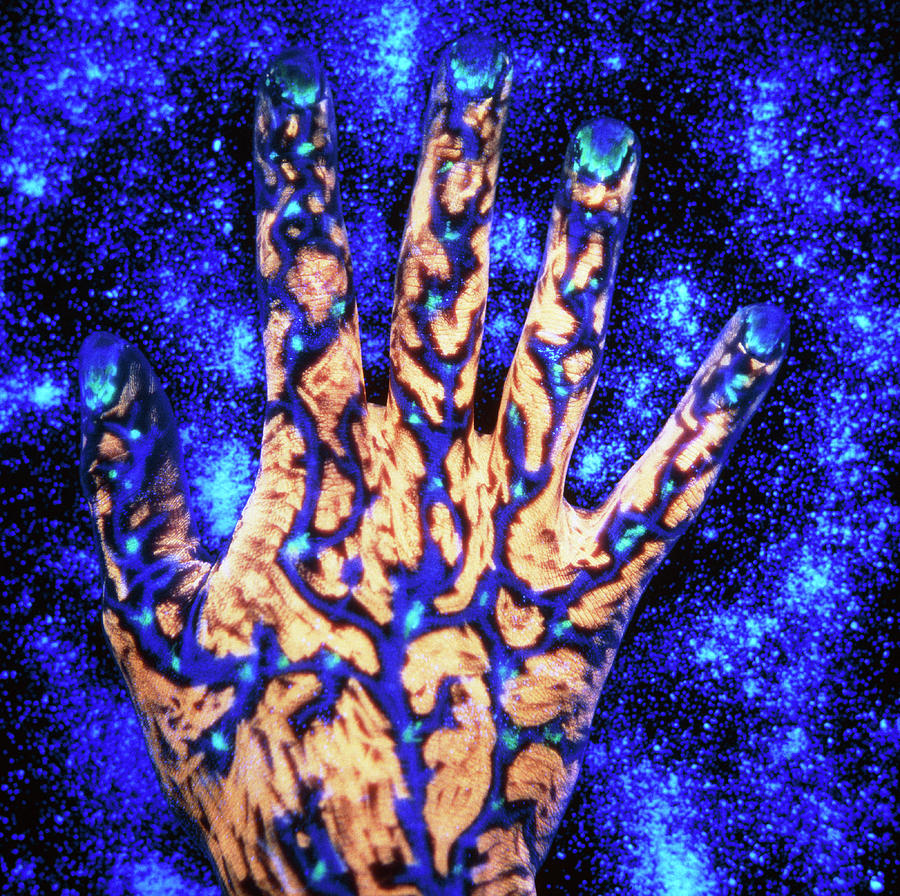 Fluorescent Ink On Hand Photograph by Simon Terrey/science Photo Library