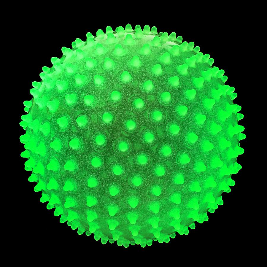 Fluorescent Spiky Ball Photograph by Science Photo Library