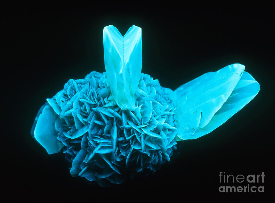 Gypsum Photograph - Fluorescing Selenite Gypsum by Mark A Schneider