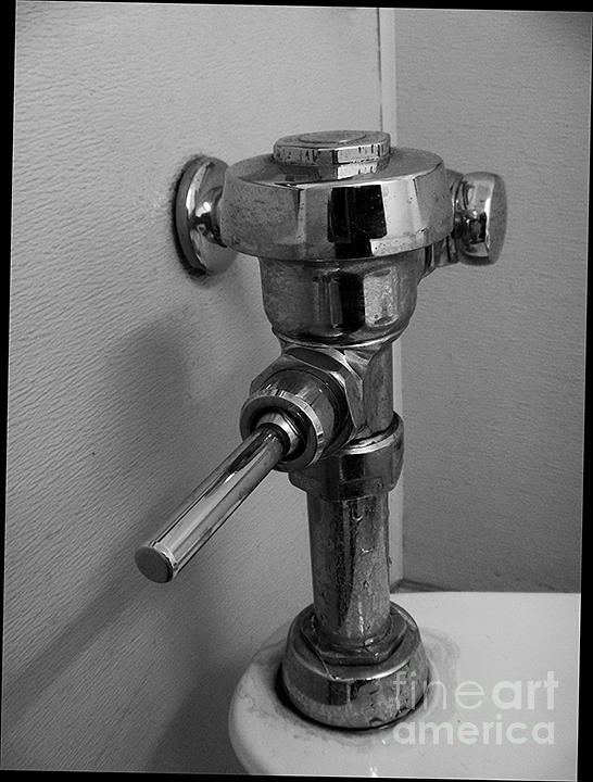 Flush handle 1 Photograph by Fei A