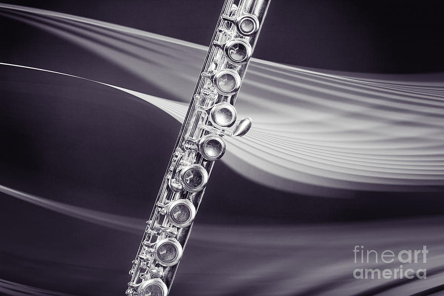 Flute music wind instrument photograph in sepia 3298.01 Photograph by M K Miller