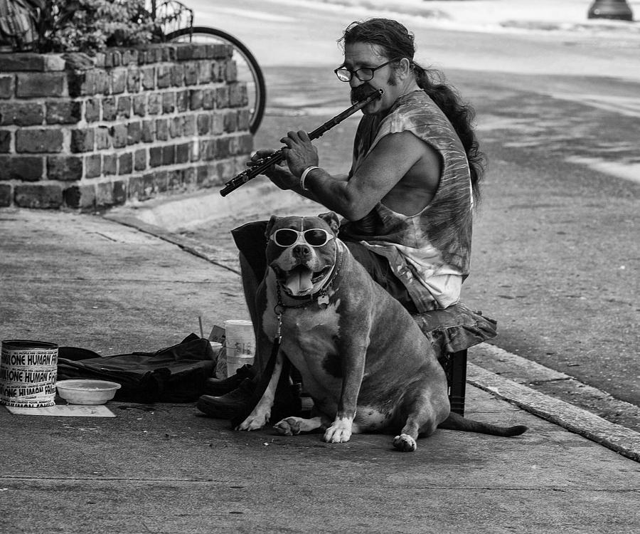 Flute Player and Canine Side-Kick Photograph by John Hoey