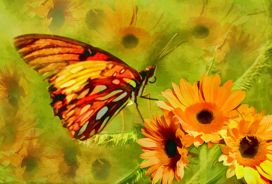 Butterfly Photograph - Fluttering in Paradise by Grace Dillon