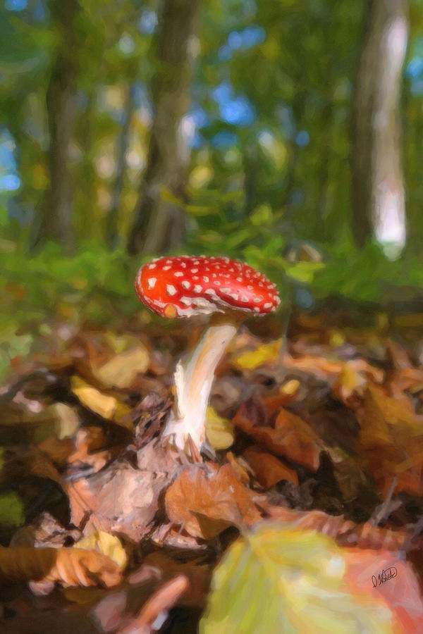Fly Agaric 2283 Painting by Dean Wittle
