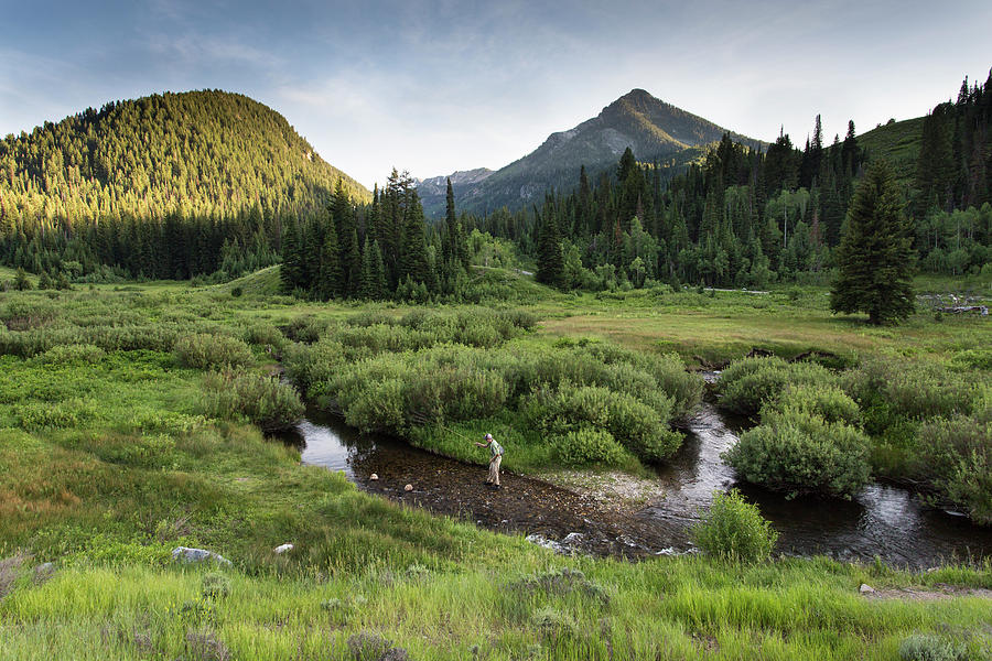 Fly Fishing Big Cottonwood Canyon Creek Photograph by Wray Sinclair ...