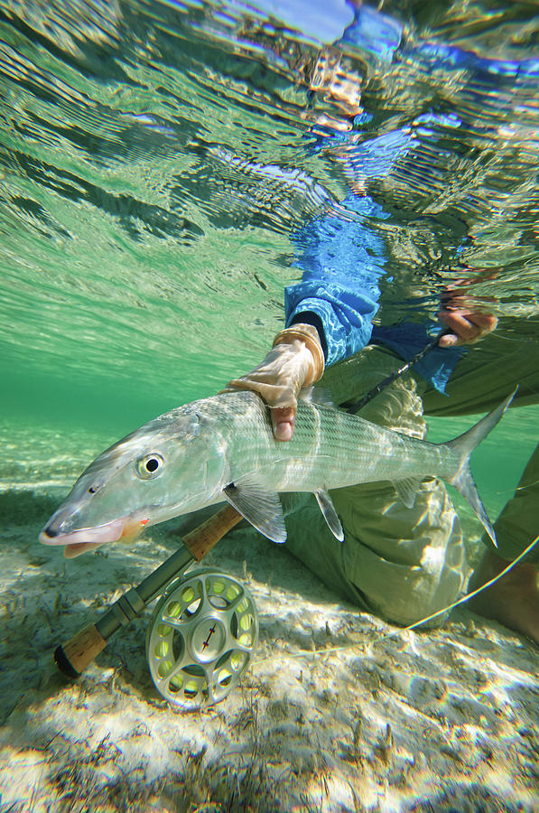 Fly Fishing In The Bahamas Photograph by Mark Lance Fly Fishing In The Bahamas Photograph by Mark Lance