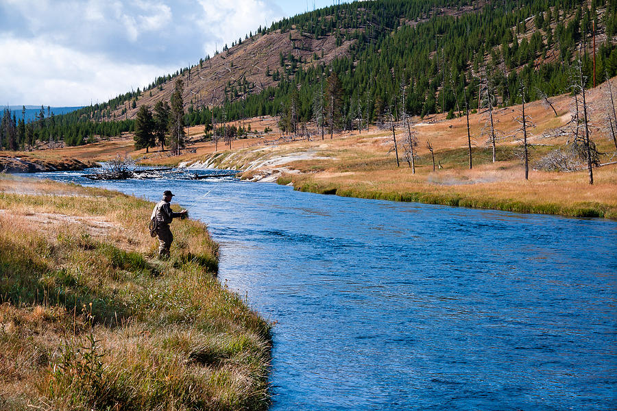 Fly Fishing in Yellowstone  Photograph by Lars Lentz