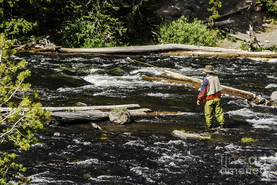 Fly Fishing In Yellowstone Photograph by Mary Carol Story