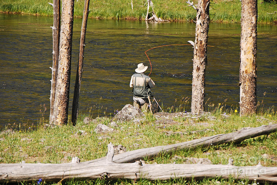 Fly Fishing Photograph by Mary Carol Story
