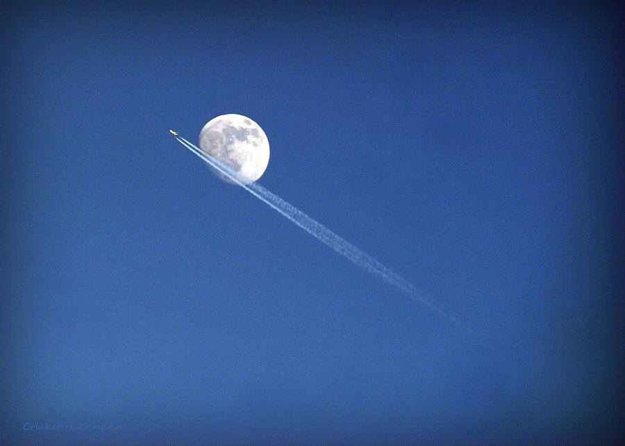Fly Me to the Moon Photograph by Cricket Hackmann