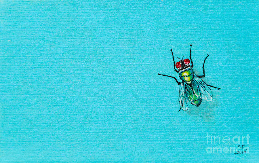 Fly on the wall Painting by Stefanie Forck